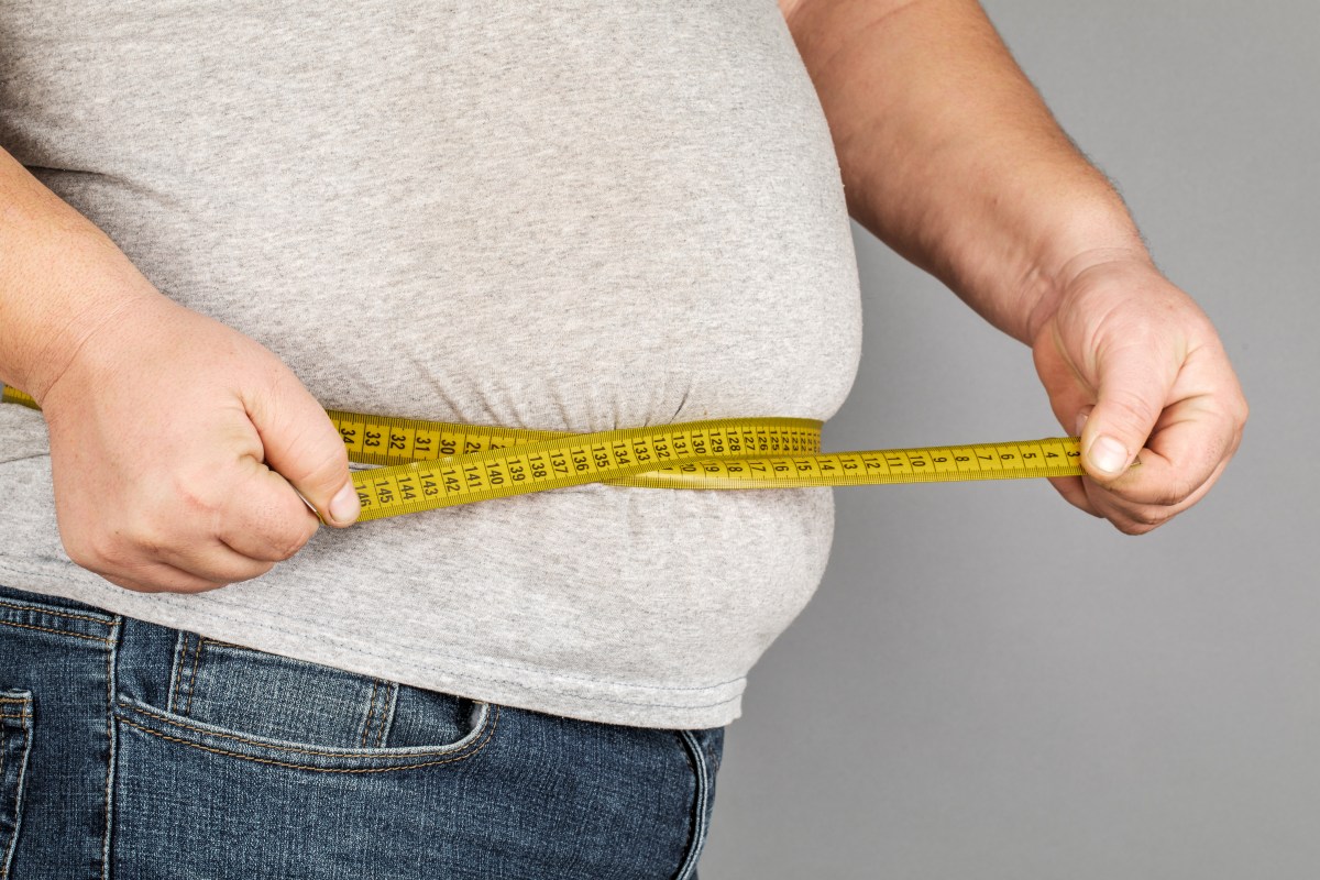 Obesidad: los estados con mayores tasas en EE.UU.