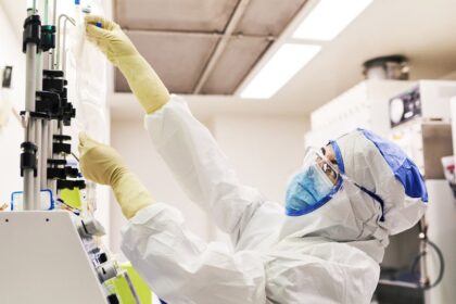 Un fármaco viviente logra eliminar los tumores de ratones con cáncer de páncreas, ovario o riñón | Salud y bienestar