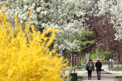 Los alérgicos afrontan una primavera difícil en España por la alta concentración de polen: “Nos encontramos ante la tormenta perfecta” | Sociedad