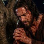 Qué es la hematohidrosis, la rara enfermedad que padeció Jesucristo antes de ser crucificado