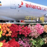 Imagen de flores colombianas siendo transportadas por Avianca Cargo