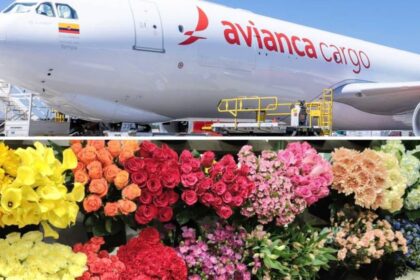Imagen de flores colombianas siendo transportadas por Avianca Cargo