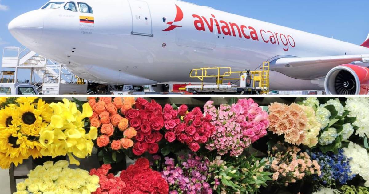 Imagen de flores colombianas siendo transportadas por Avianca Cargo