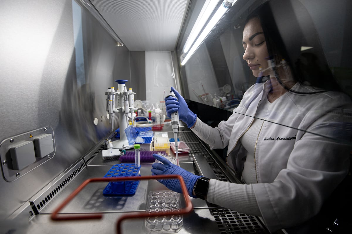 Células cancerosas con alteraciones moleculares bajo microscopio
