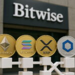 Gráficos de criptomonedas con tendencias alcistas y bajistas en un mercado en transformación