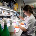 Imagen de un médico especialista en oncología trabajando en un laboratorio con microscopios y equipo de investigación.
