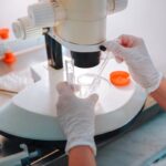 La polución o los tóxicos pueden explicar por qué la calidad del semen de los asturianos duplica a la de los madrileños | Salud y bienestar