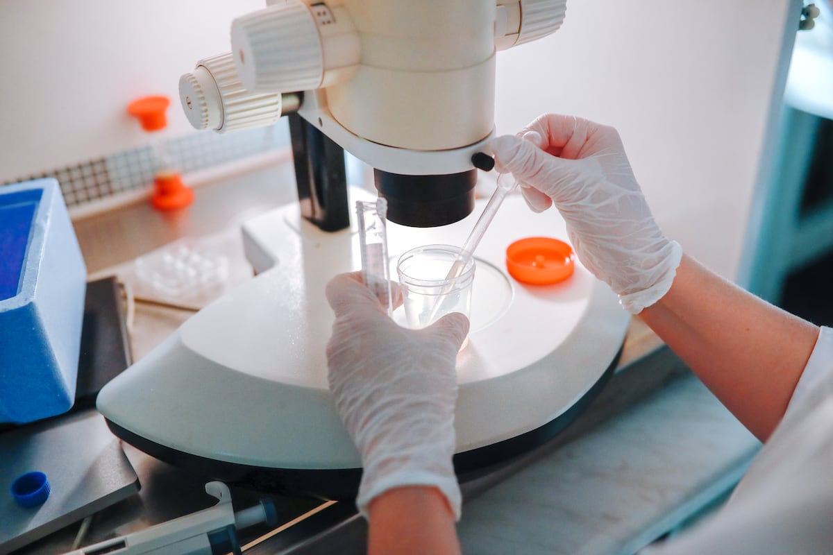 La polución o los tóxicos pueden explicar por qué la calidad del semen de los asturianos duplica a la de los madrileños | Salud y bienestar