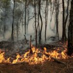 Mujer embarazada protegiéndose del humo de un incendio forestal en un entorno urbano