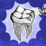 Odontología regenerativa: un cambio en la forma de tratar tus dientes